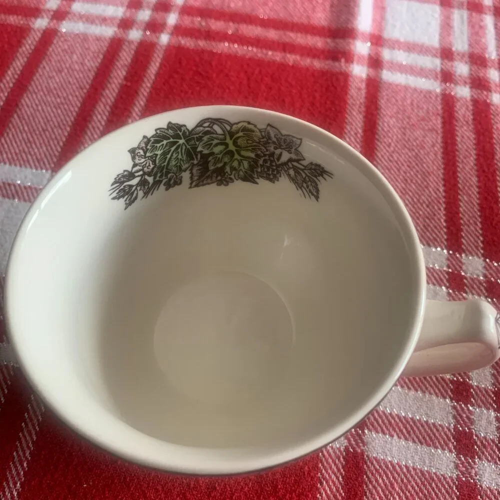 Johnson Bros FRIENDLY VILLAGE Flat Cup & Saucer